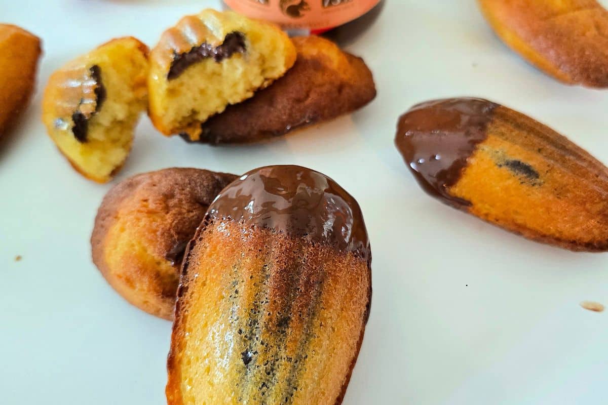 Madeleines au Choko Exquis